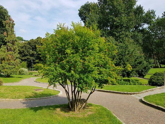 Parc du Valentino